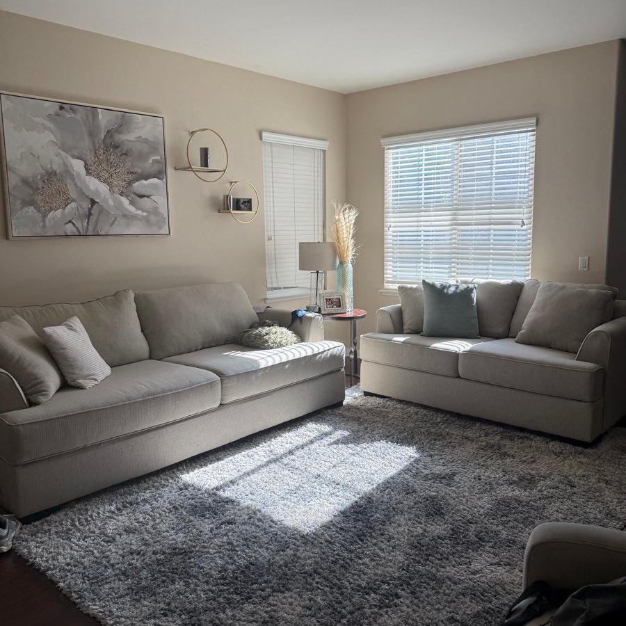 Cleaned living room with grey sofas